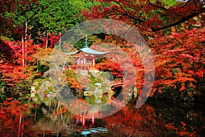 Daigoji with autumn colors, Kyoto