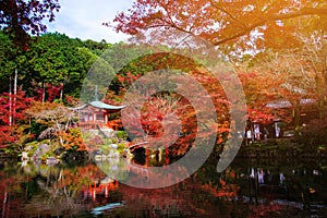 Daigoji temple at autumn in Kyoto