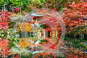 Daigoji temple in autumn, Kyoto. Japan autumn seasons