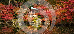 Daigoji temple and autumn maple trees in momiji season, Kyoto, Japan photo