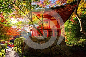 Daigoji temple in fall foliage garden