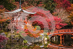 Daigoji temple in maple trees, momiji, Kyoto, Japan photo