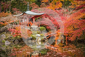 Daigoji temple in maple trees, momiji season, Kyoto, Japan