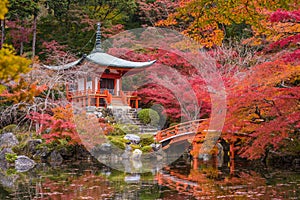 Daigoji temple in maple trees, momiji season, Kyoto, Japan