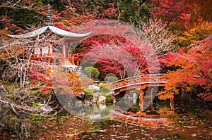 Daigoji temple in maple trees, momiji season, Kyoto, Japan