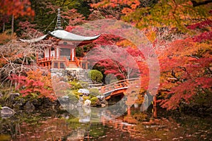 Daigoji temple in maple trees, momiji season, Kyoto, Japan photo