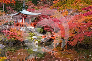 Daigoji temple in maple trees, momiji season, Kyoto, Japan photo