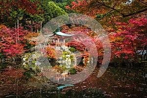 Daigoji temple in maple trees, momiji season, Kyoto, Japan