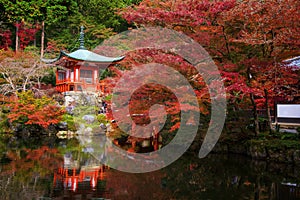 Daigoji temple with red maple, Kyoto