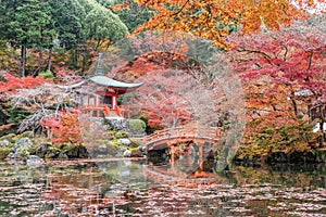 Daigoji temple with red maple trees in autumn season, Kyoto, Japan