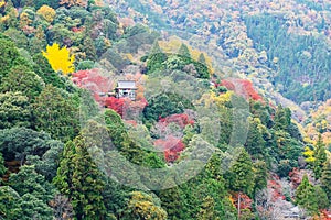 Daihikaku senkoji temple with colorful leaves mountains in Arashiyama, landscape landmark and popular for tourists attractions in