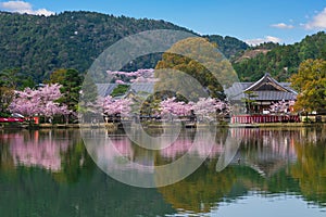 Daikakuji Temple and osawa pond at Arashiyama, Kyoto, kinki, japan