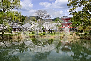 Daikoku-ji
