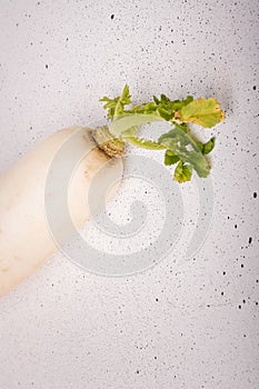 Daikon, east long radish on white background. Fresh organic vegan farm vegetables, seasonal harvest, healthy food
