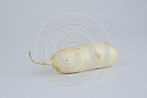 A daikon isolated on a light background