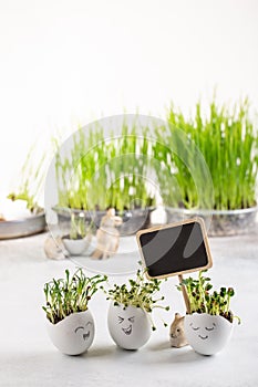 Daikon radish, rutabaga and  coriander sprouts in egg shells on white background. Easter decoration