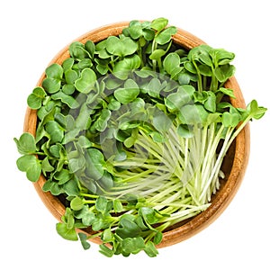 Daikon radish sprouts in wooden bowl over white