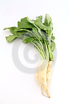 Daikon radish on white background