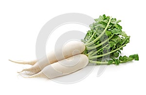 Daikon radishes photo