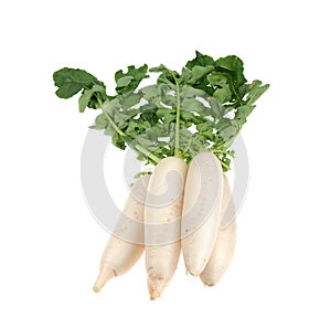 Daikon radishes