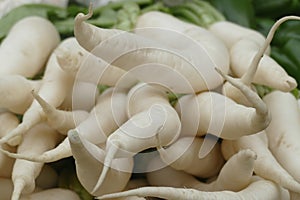 Daikon radishes displayed at an outdoor market