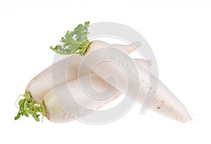 Daikon radishes photo