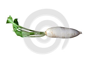 Daikon radishes