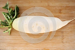 Daikon White Radish