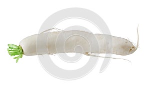 Daikon White Radish