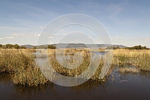 Daimiel tables in Ciudad Real. Lagoons with wooden walkway, blue sky