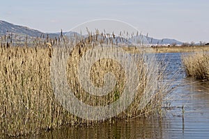 Daimiel tables in Ciudad Real. Lagoons with wooden walkway, blue sky