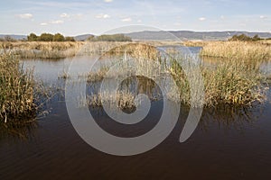 Tische. Lagunen hölzern bürgersteig blauer himmel 