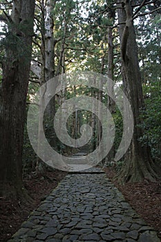 Daimon slope of Kumano Kodo pilgrimage routes