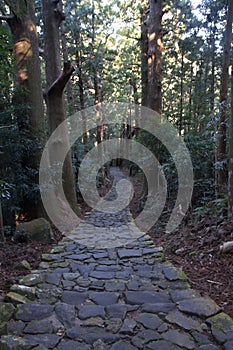 Daimon slope of Kumano Kodo pilgrimage routes