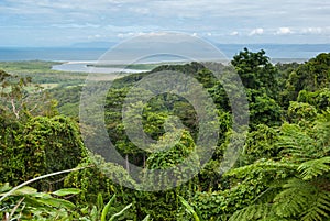 Daintree National Park