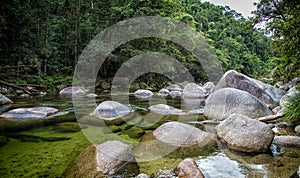 Daintree National Park, Australia