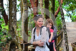 Daintree National Park Queensland Australia