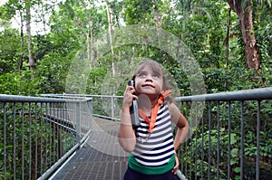 Daintree National Park Queensland Australia