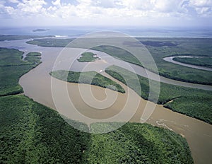 Daintree river