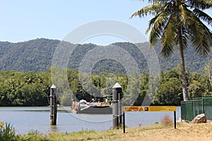 Daintree river