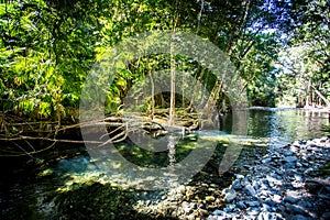 Daintree River Crossing Queensland Australia