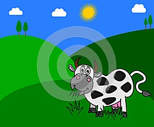 A dairy cow eating grass in a meadow with beautiful sunshine