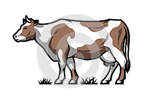 Dairy cow. Farm animal. Color option. Vector illustration.