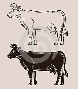 Dairy cow vector logo. farm, livestock, milk icon