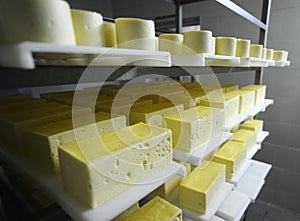 Dairy factory