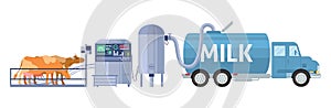 Dairy farm cow milking equipment, tanker truck transporting milk to local factory, vector illustration. Milk production.