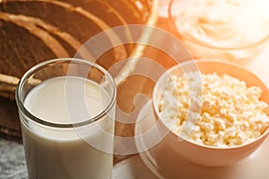 Dairy farm food: curd cheese and cream in bowls, milk and fresh bread, sunlight effect, selective focus