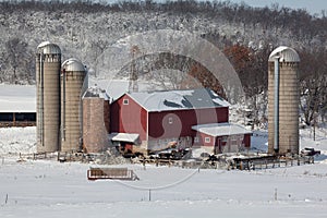 Dairy farm in fresh snow photo