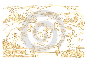 Dairy farm is livestock. Three cows in the barnyard. Hay fodder. Village rural countryside landscape. Rustic fence. Hand