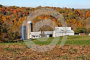 Dairy Farm in Southern Ohio